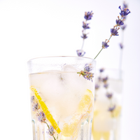 Lavender Fizz