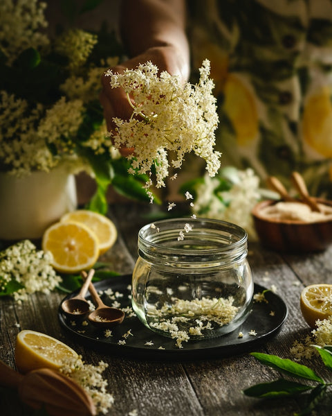 elderflower in bloom in a vase