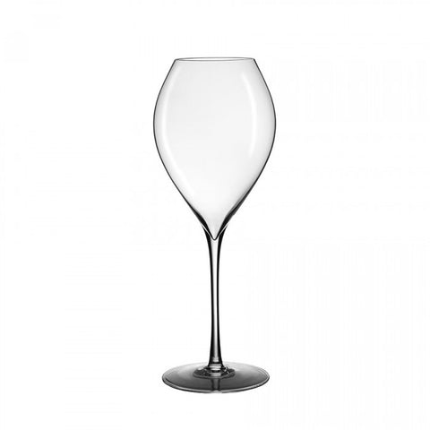 Lehmann - Jamesse Grand Champagne 45 Champagne Glass - Ultralight Mouth Blown (450 ml) by Lehmann Glass - Alambika Canada