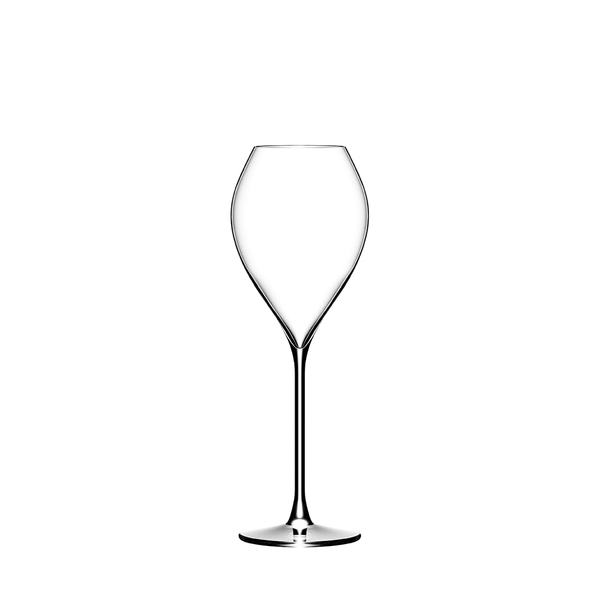 Lehmann - Jamesse Grand Champagne 25 Champagne Glass (250 ml) by Lehmann Glass - Alambika Canada