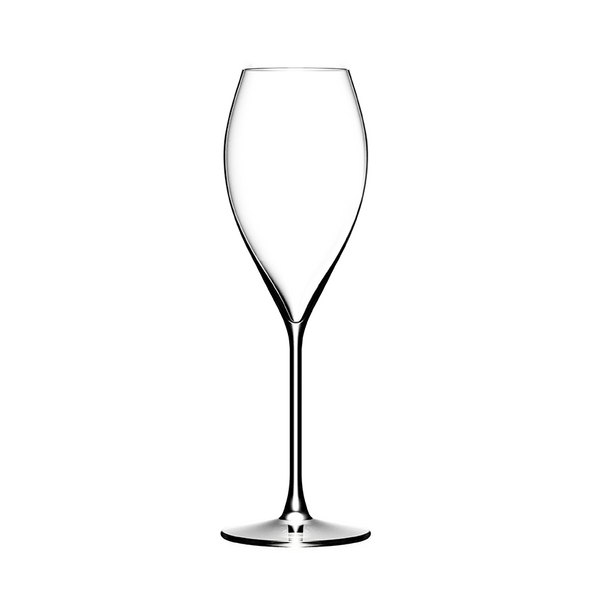 Lehmann - Excellence 21 Champagne Glass (210 ml) by Lehmann Glass - Alambika Canada