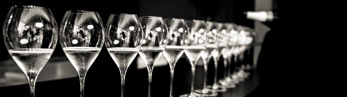 A row of Lehmann champagne glasses